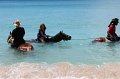 Cruise 2011 369